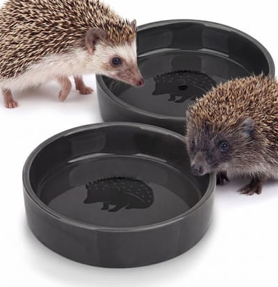 NatureCrafts egel voer- en drinkbakje 2-delig vorstbestendig - 12 cm