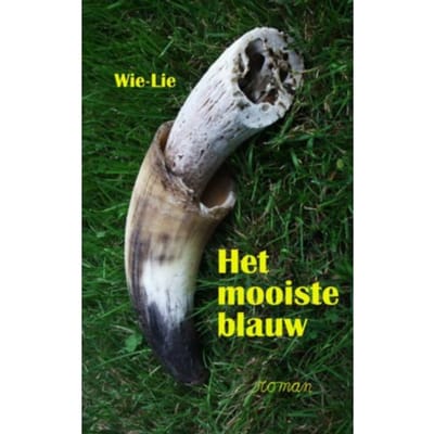 Het Mooiste Blauw - Wiel Goossens