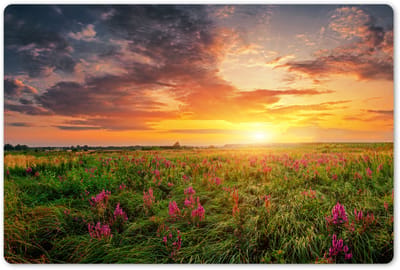 Placemats 45x30 cm - Placemat kunststof - 1 stuk - Bloemen - Zonsondergang - Lente - Borden onderleggers - Decoratie voor op tafel - Keuken tafeldecoratie accessoires - Vinyl onderlegger - Tafelversiering