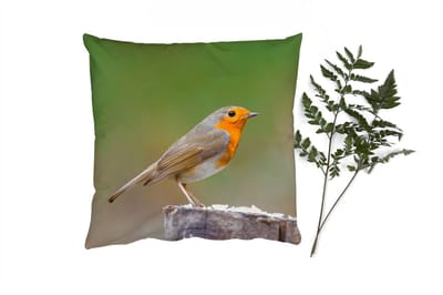 Sierkussens - Kussentjes Woonkamer - 40x40 cm - Dieren - Vogel - Roodborstje