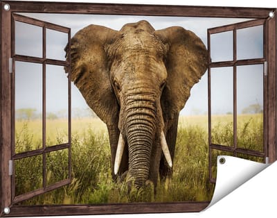 Gards Tuinposter Doorkijk Olifant in het Wild - Kleur - 90x60 cm - Tuindoek - Tuindecoratie - Wanddecoratie buiten - Tuinschilderij