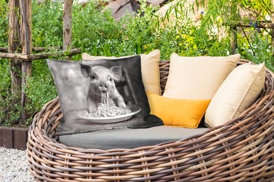 Buitenkussens - Tuin - Varken - Schattig - Spaghetti - Zwart wit - Dier - 50x30 cm