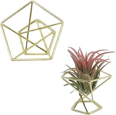 Luchtplantenhouder Geometrisch - Metalen Plantenrek - Decoratief Gebruik - Ventilerend Hol Ontwerp - 50x50x50 millimeter - Goud