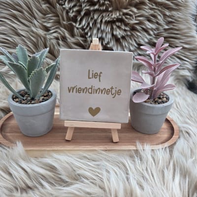 Robuust wenstegeltje “Lief vriendinnetje” – Liefde & Vriendschap Cadeau – Decoratie – Vriendschap – Trendy nu – Zomaar – Decoratief Tegeltje met Standaard – Cadeau Idee
