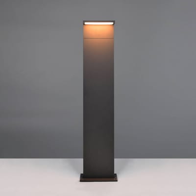 Trio Lighting LED tuinpadverlichting Ravi, antraciet, hoogte 100 cm, metaal, IP65