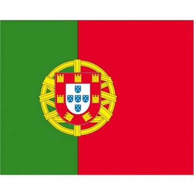 Vlag van Portugal stickers - 7 x 10 cm - Landen - Portugese vlaggetjes - versiering - feestartikelen