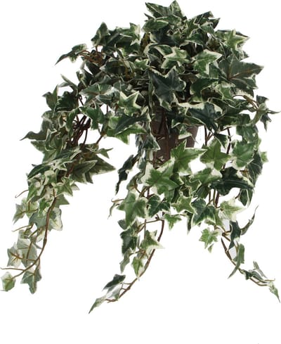 Mica Decorations Hedera klimop kunstplant - groen/wit - in pot - L45 x B25 x H25 cm - Kunstplanten/nepplanten