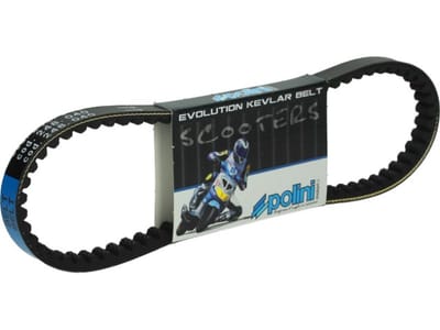 transmissieriem polini voor scooter aprilia 50 scarabeo 1993 tot 2001 248.040 / 750x16.2x8x28 nieuw