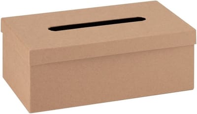 Onbewerkte kartonnen ideenbus 25 cm