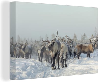 Canvas Schilderij Rendier - Sneeuw - Dieren - 90x60 cm - Wanddecoratie