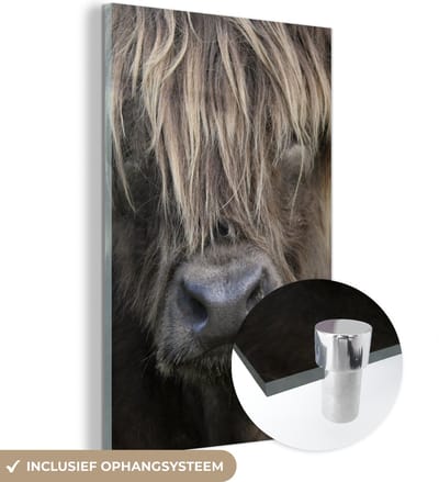 MuchoWow® Glasschilderij 120x180 cm - Schilderij acrylglas - Schotse Hooglander - Bruin - Neus - Foto op glas - Schilderijen