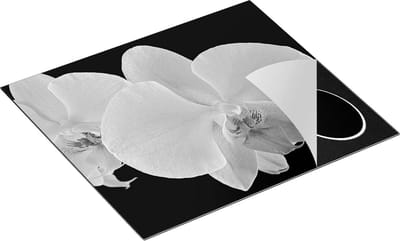 Chefcare Inductie Beschermer Licht Paarse Orchidee - Bloem - Zwart Wit - 60x50 cm - Afdekplaat Inductie - Kookplaat Beschermer - Inductie Mat