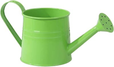 Gieter Buiten - Waterkan Kamerplanten - Planten Water Geven - Dubbel Ontwerp Vaas - 1 Liter - Groen