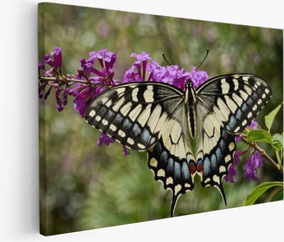 Saammp Muurcirkel Hout - Roze Bloemen - Paars - Abstract - Natuur - Ø 90 - Wandcirkel - Wanddecoratie Cirkel - Muurdecoratie Woonkamer - Kantoor Decoratie