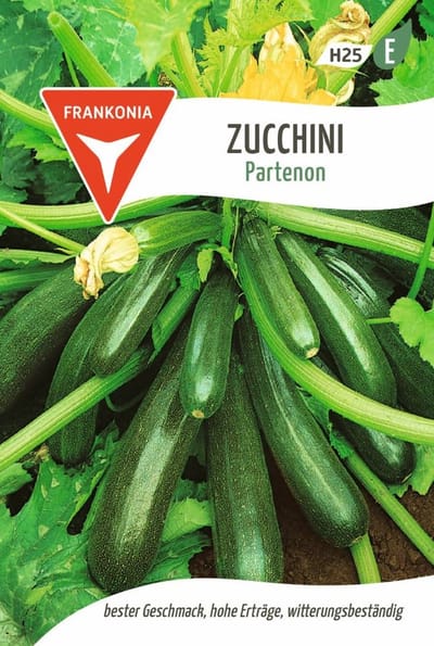 Courgette, Partenon F1 - Groentezaden, courgettezaden