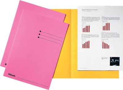 Vouwmap Esselte A4 180gr Roze: omdoos van 4 x 100 stuks