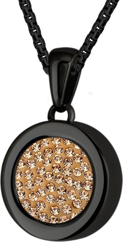 Quiges 12mm Mini Munt Hanger Zwart RVS Glans met Zirkonia Munt en met Anker Ketting 42-46cm