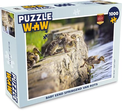 Puzzel Eenden - Stenen - Kuiken - Legpuzzel - Puzzel 1000 stukjes volwassenen