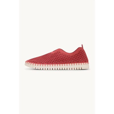 Emblematische mocassins vrouw Ilse Jacobsen Hornbæk Tulip