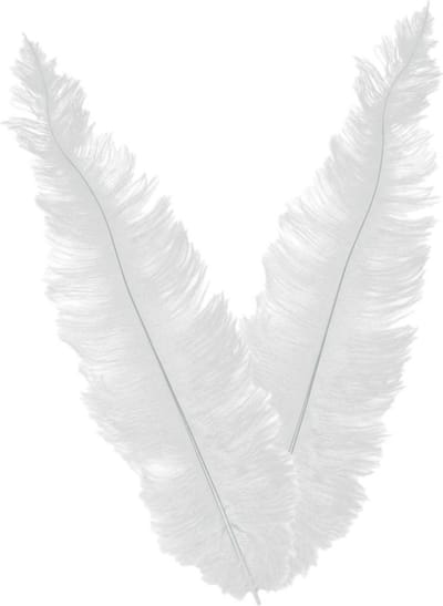 Grote struisvogelveer/pietenveer - 2x - wit - 40 cm - Charleston/jaren 20/twenties thema verkleed accessoire