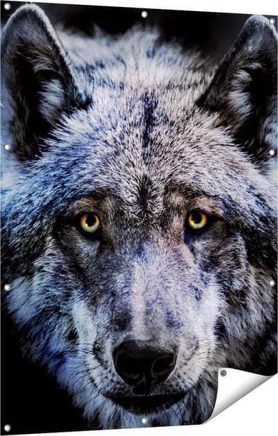 Gards Tuinposter Grijze Wolvenkop - Wolf - 90x120 cm - Tuindoek - Tuindecoratie - Wanddecoratie buiten - Tuinschilderij