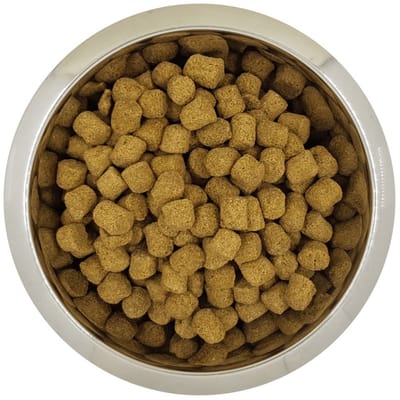 Yourdog Chien français blanc et orange Rasspecifiek Senior Hondenvoer 12kg | Hondenbrokken