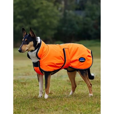 Hondenjas Weatherbeeta Comfitec Reflective Deluxe 300D