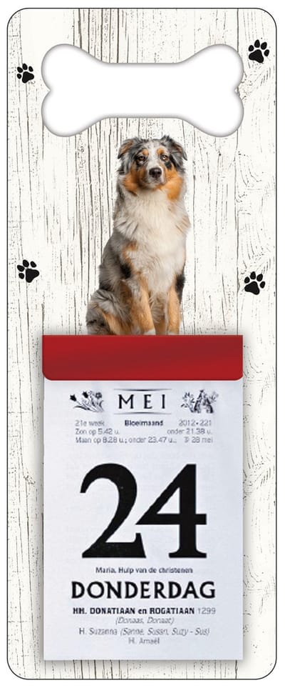 Scheurkalender 2027 Hond: Australian Shepherd Dog