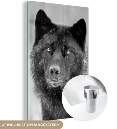 MuchoWow® Glasschilderij 120x180 cm - Schilderij acrylglas - Wolf - Close up - Zwart - Wit - Foto op glas - Schilderijen