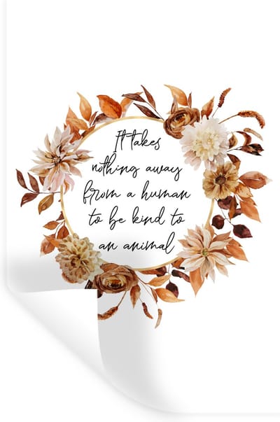 Muurstickers - Sticker Folie - Quotes - Spreuken - It takes nothing away from a human to be kind to an animal - Dieren - 20x30 cm - Plakfolie - Muurstickers Kinderkamer - Zelfklevend Behang - Zelfklevend behangpapier - Stickerfolie