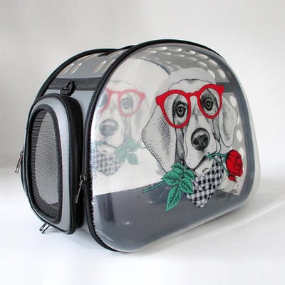 Kattentas Draagbare Tas Ruimte Capsule Huisdier Rugzak Kattenkooi Schouders Transparante Kattentas Hondentas Kattenbenodigdheden 42*33*28.5cm