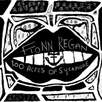 Fionn Regan - 100 Acres Of Sycamore (LP) (Limited Edition)
