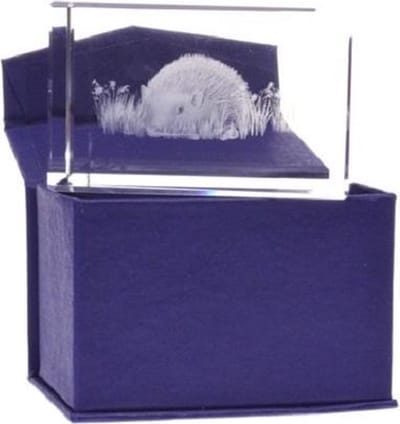 3D Laser Gravure Egel in Glasblokje – Luxe Cadeau met Diepte Effect – 8 cm