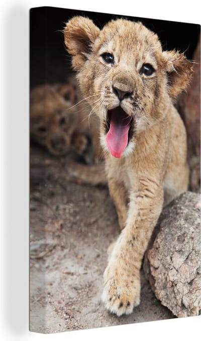 Canvas Schilderij Welp - Leeuwen - Schattig - 40x60 cm - Wanddecoratie