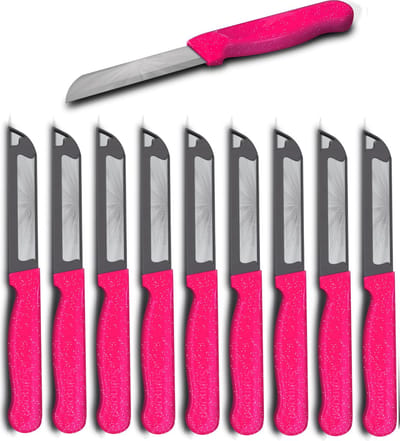 Solingen Schilmesje Robuust Handvat – RVS Glad – 18,5 cm met Blade Cover – Roze Glitter – 10 stuks