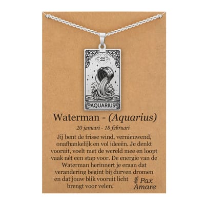Sterrenbeeld Waterman (Aquarius) Ketting op Cadeau Kaartje Zilverkleurig - Zodiac in de stijl van Rider-Waite Tarot - Roestvrij Staal / Stainless Steel - 60cm - Pax Amare