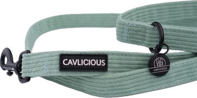 X-TRA Corduroy Leash