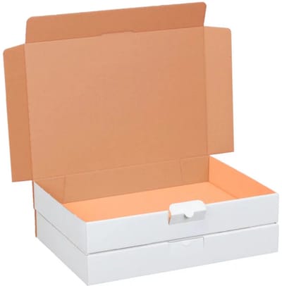 25 x Ecologische Witte Kartonnen Postdozen/ Verzenddozen 18x 13 x 5 cm formaat A6+ / Doosjes Karton voor E-commerce & Verzending