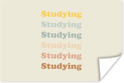 Poster Quotes - Studenten - Studeren - Motivatie - 180x120 cm XXL