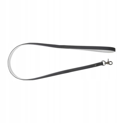 Barry King Leren Hondensnoer - Elegant & Duurzaam - 1.2m/20mm Grijs
