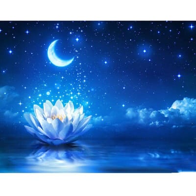 Foret rond complet 5D bricolage diamant peinture lune Lotus broderie point de croix 20X30CM blue