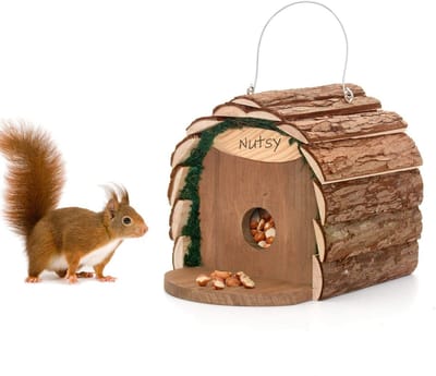 Dailygoods- Vogelvoederstation 2-in-1 - Voederhuisje voor vogels - Eekhoornvoederhuis - Weerbestendig - Houten - Capaciteit 750 g pinda's - Voederhuis