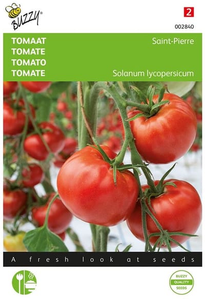 Tomaten St. Pierre - Lycopersicon esculentum