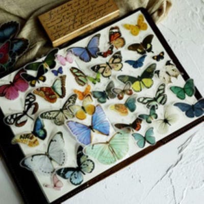 84 Vintage Vlinder Vellum Stickers - Butterfly sticker