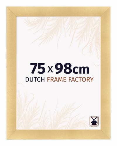 Fotolijst 75x98 cm - MDF - Goud Mat - Praag