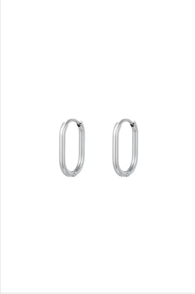 Ovale oorbellen Zilver Stainless Steel
