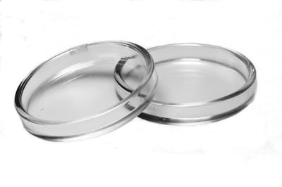 Set piano schotels doorzichtig - onderzetters meubels - bescherming voor vloer - caster cups