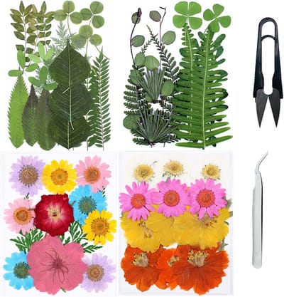 Set van 4 Verpakkingen Gedroogde Bloemen voor Hars, Scrapbooking en Sieraden Maken