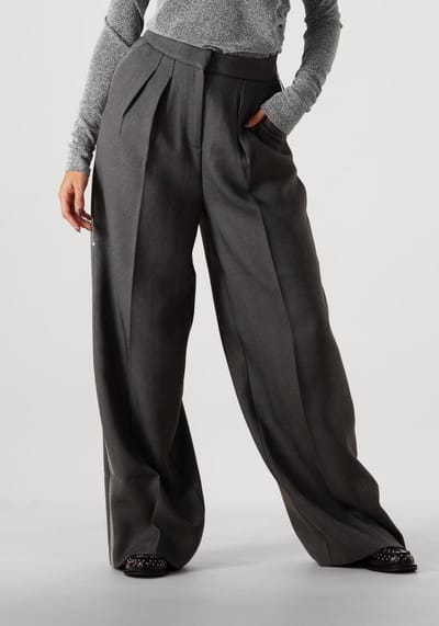 AAIKO Saba Sequins Pes 356 Broeken Dames - Grijs - Maat S