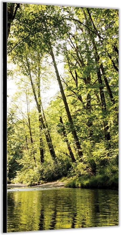 KuijsFotoprint - Schilderij - Rivier In De Bossen - Groen En Bruin - 200 X 100 Cm